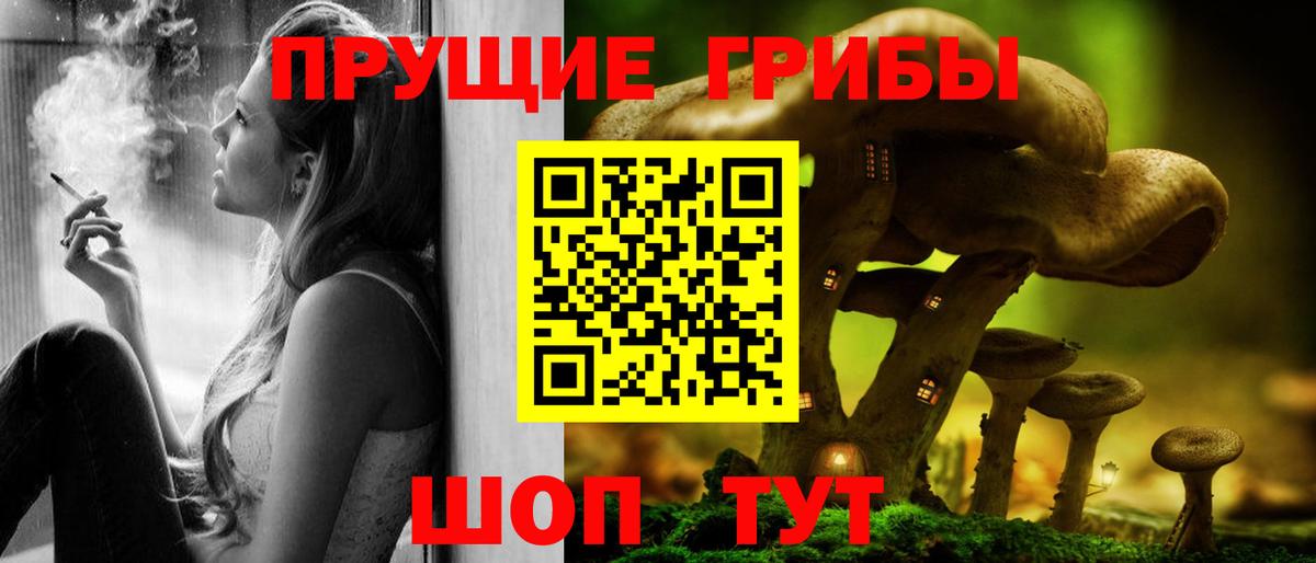 Нижнекамск  Галлюциногенные грибы Psilocybe  Вход с VPN  Псилоцибиновые грибы Magic Shrooms 