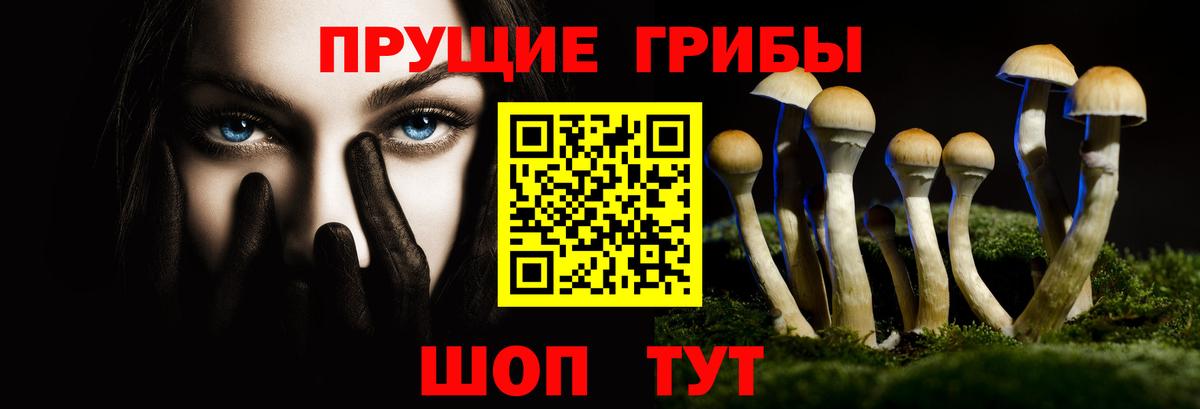 Галлюциногенные грибы Magic Shrooms Нижнекамск